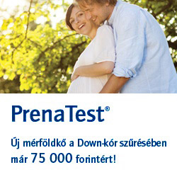 PrenaTest-Banner_250x250hm.jpg