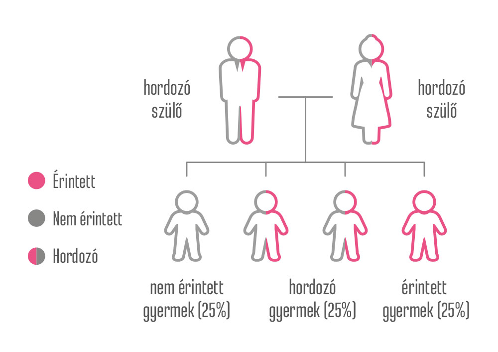 origin parent child affect magyar